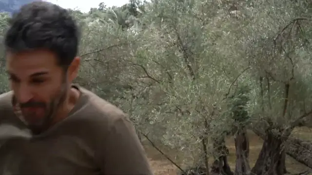 Video thumbnail for NUEVA RECETA DE COMO COCINAR PUERROS CON UNA NUEVA VERSIÓN DE SALSA ROMESCO