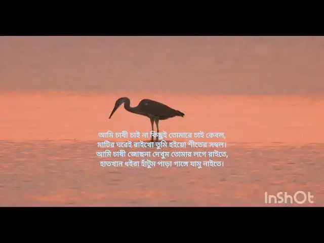 'Video thumbnail for কবিতাঃ স্বপ্ন, লেখা ও আবৃত্তিঃ রফিকুল ইসলাম।'