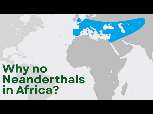 Video thumbnail for The Reason Neanderthals Avoided Africa