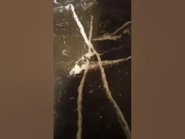 Video thumbnail for عبد الهادي الاسطورة