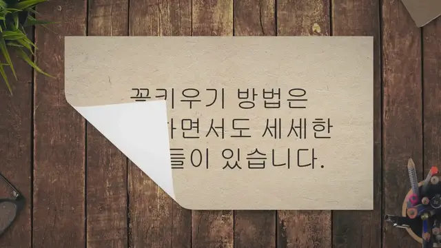 'Video thumbnail for 꽃키우기 방법 12단계 자주하는 실수와 해결법'