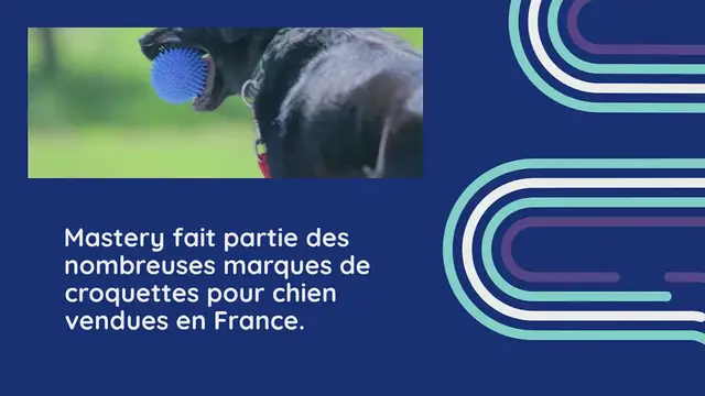 Video thumbnail for Croquettes Mastery pour chien : avis, présentation et gammes
