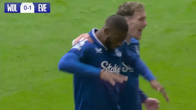 'Video thumbnail for WOLVES 2-3 EVERTON | Premier League highlights'
