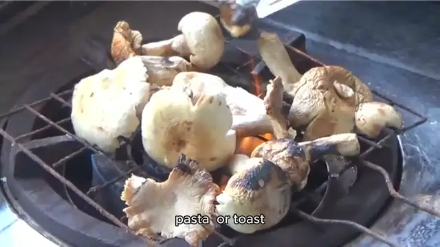 Video thumbnail for mushroom recipe