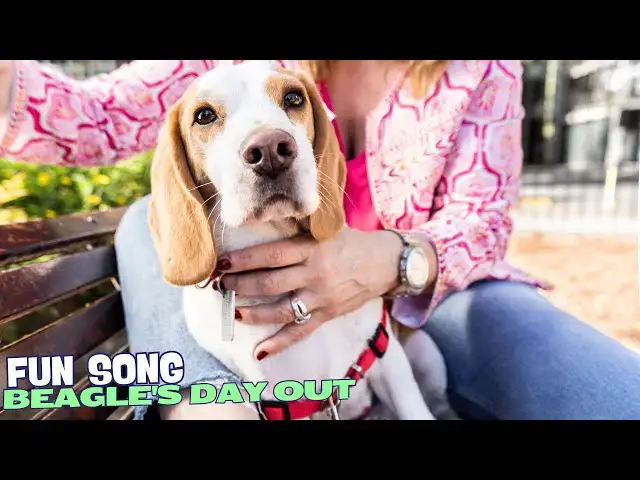 Video thumbnail for 🎶🐾 Beagle's Day Out | A Fun Song About Beagles 🐕🌞