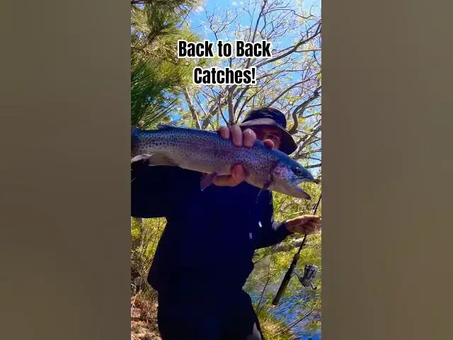 Video thumbnail for Trout are EATTIN!!  Green Valley Lake Trout Fishing Tournament🎣