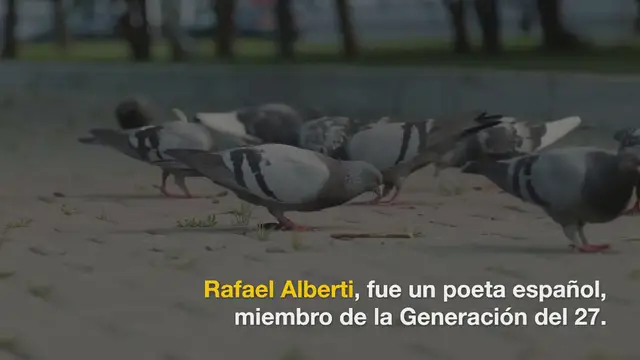 Video thumbnail for Se equivocó la paloma – Rafael Alberti