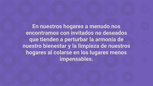 Video thumbnail for Aplique esto, las hormigas lo odian: no las volverá a ver en su casa o jardín