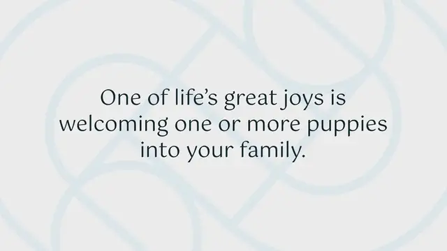 Video thumbnail for 770+ Cute Dog Names for your Pup