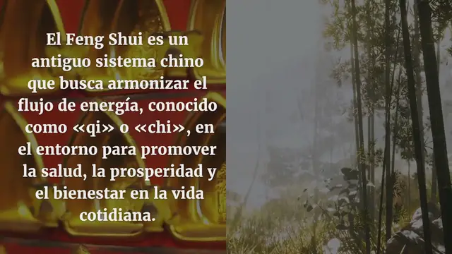 Video thumbnail for Plantas esenciales que atraen la energía positiva a un hogar, según el Feng Shui
