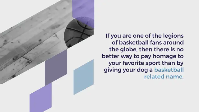 Video thumbnail for 220+ Slam Dunk Basketball Dog Names for Your NBA Star Pup