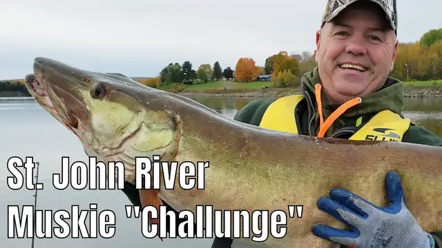 'Video thumbnail for St John River Muskie Tournament | Fish'n Canada'