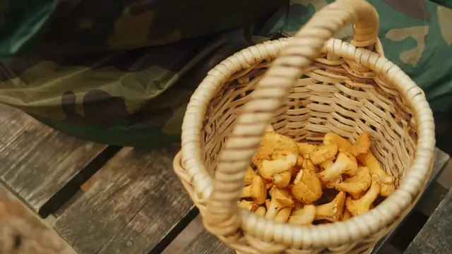 Video thumbnail for The Surprising Reason Restaurant Mushrooms Always Taste Better