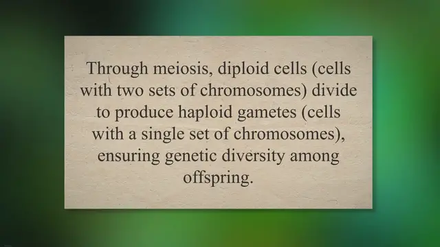 Video thumbnail for Meiosis