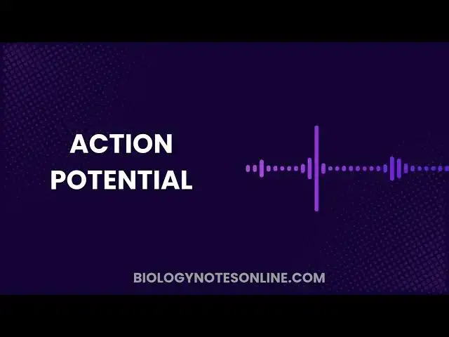 Video thumbnail for What is Action Potential?