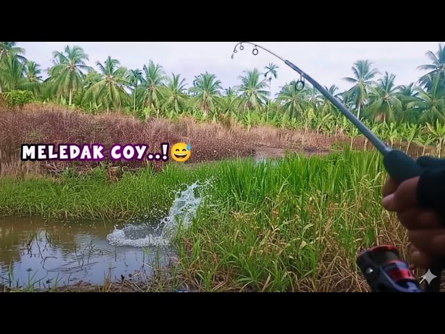 Video thumbnail for TAK DI SANGKA LEMPARAN LONGCAST MALAH MELEDAK DEPAN MATA