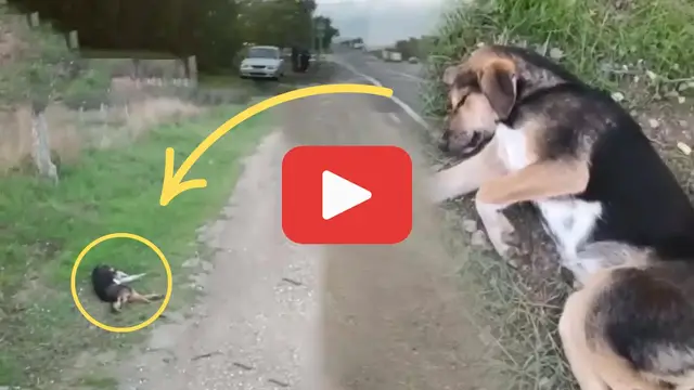 Video thumbnail for Broken and Ignored: The Heartbreaking Scene No One Stopped For.