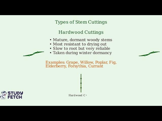 Video thumbnail for What is Vegetative Propagation? - Cloning Plants Naturally and Artificially