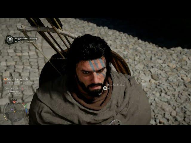 Video thumbnail for Crimson Desert - Chapter 1: Explore Hernand Town: Notice Board, Learn Jindo and Floppy Eared Bulldog