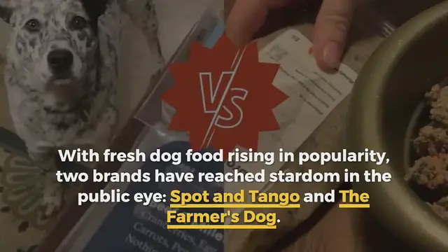 Video thumbnail for Spot and Tango vs The Farmer’s Dog: I Tried Them Both, Here’s My Verdict