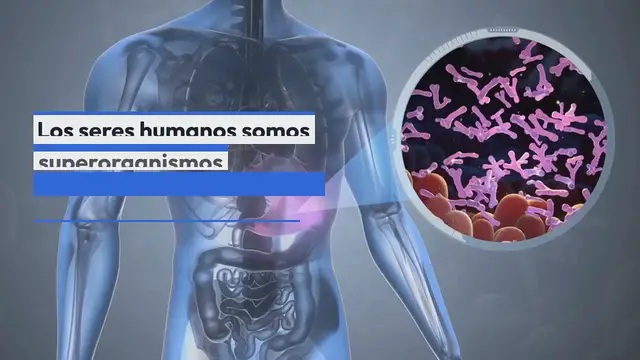 Video thumbnail for 12 señales que indican una flora intestinal dañada