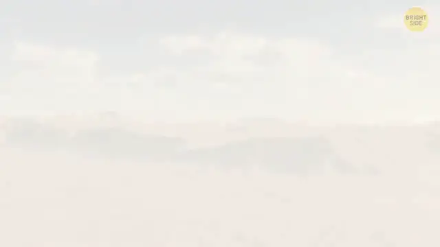 Video thumbnail for Archaeologists Find Lost Branch of Humanity in the Sahara(720P HD)