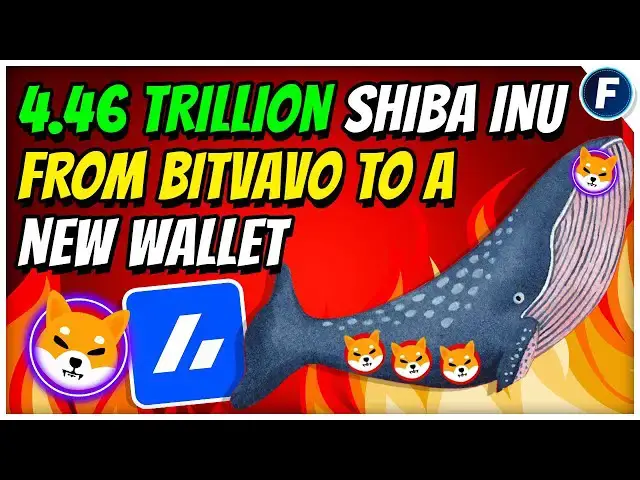 'Video thumbnail for ✅ Shiba Inu Unveils Shib Name Service (SNS) on Shibarium! 🚀'