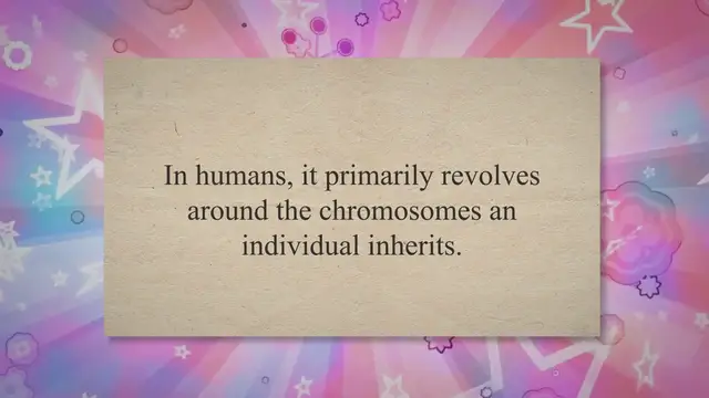 Video thumbnail for Sex Determination in Humans A Biological Overview