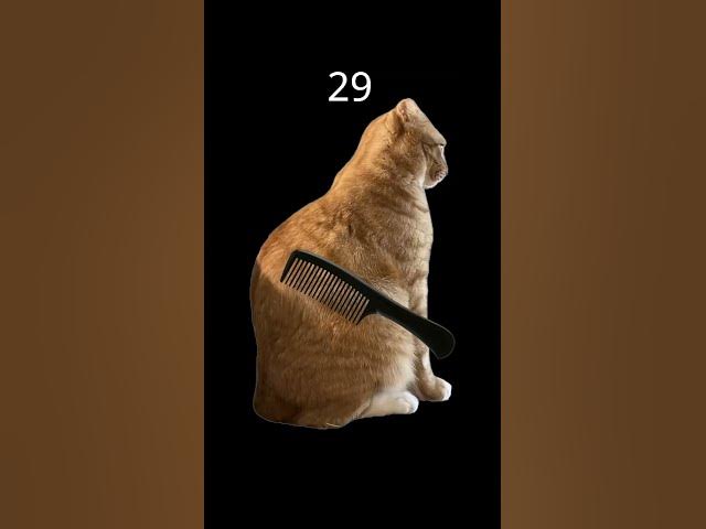 Video thumbnail for May 27, 2026