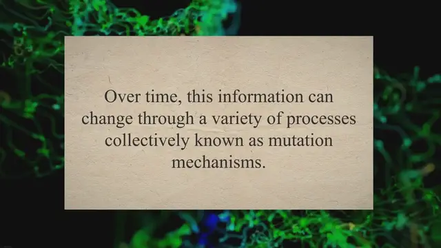 Video thumbnail for Mutation mechanism