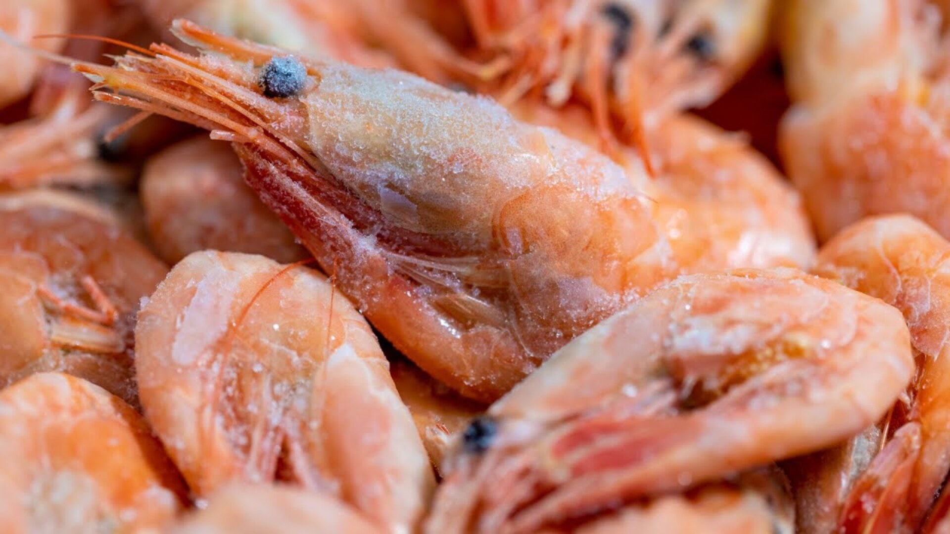 Video thumbnail for The Frozen Shrimp Tricks You'll Wish You Knew Sooner
