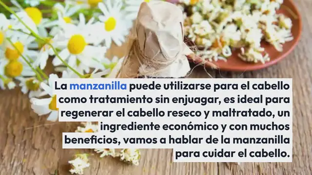 Video thumbnail for Cómo tratar el cabello reseco y sin brillo con manzanilla