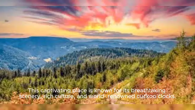 Video thumbnail for Black Forest