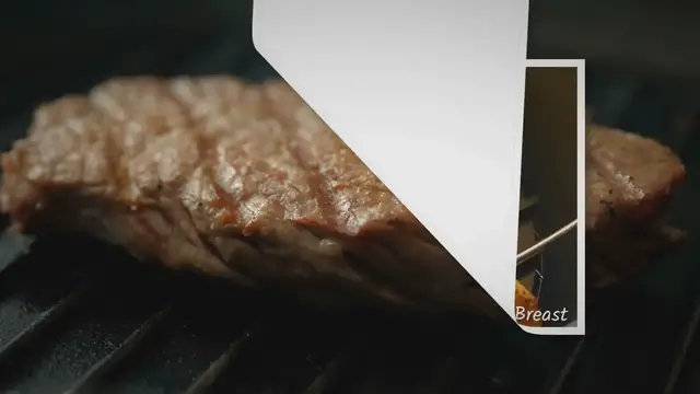 'Video thumbnail for Ninja Foodi Grill Recipes: Chicken Breast'