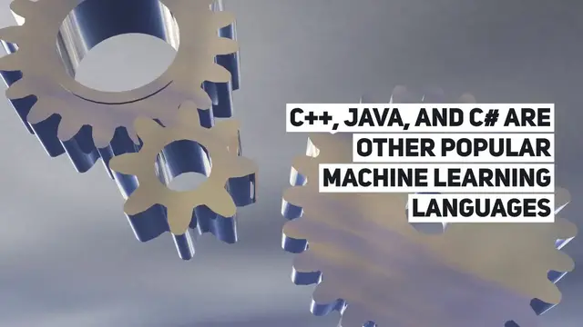 Video thumbnail for Best Language for Machine Learning