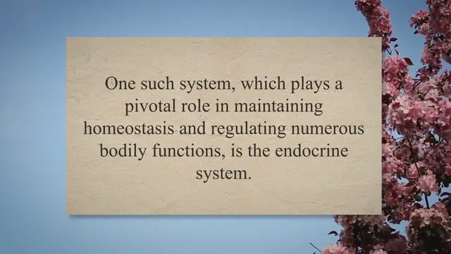 Video thumbnail for The Endocrine System