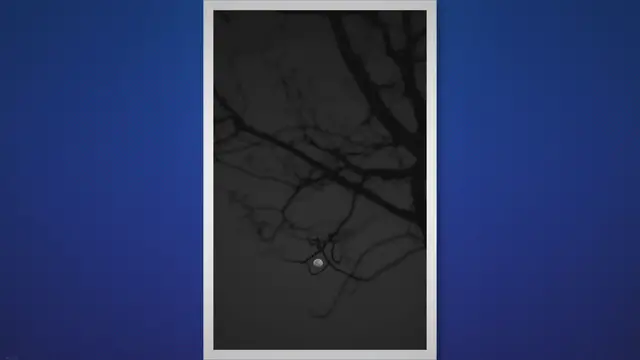 Video thumbnail for Biblical Meaning of Wolves: A Spiritual Insight