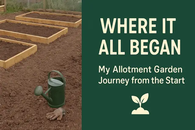 'Video thumbnail for ✅ How to Start an Allotment Garden | Beginner’s Guide to Growing Success'