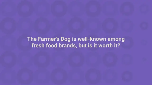 Video thumbnail for The Farmer’s Dog Review: We Tried It and We Loved It