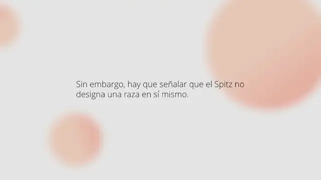 Video thumbnail for 4 razas de perros tipo spitz