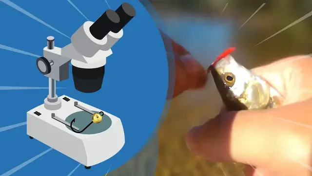 Video thumbnail for The Creek Chub Apocalipse - An Ultralight Fishing Paradise