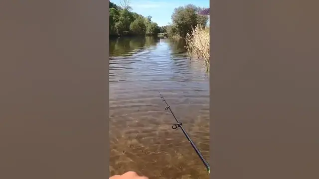 Video thumbnail for Jumping fish #fishing #catchoftheday