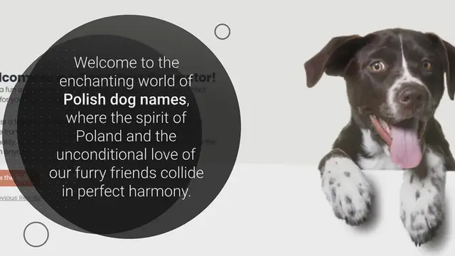 Video thumbnail for Polish Dog Names for Doggos Dancing the Polka