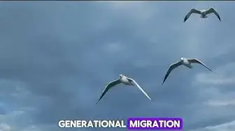 Video thumbnail for "Discovering the Hidden World of Birds: Amazing Encounters and Fascinating Facts!"