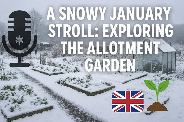 'Video thumbnail for 🎙️ A Snowy January Stroll: Exploring the Allotment Garden ❄️🌱'