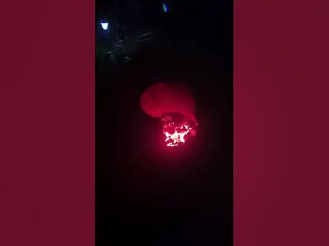 Video thumbnail for Night tour