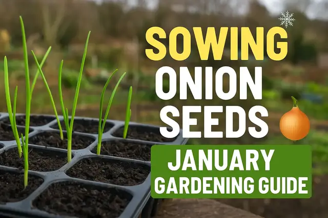 'Video thumbnail for 🎙️ Sowing Onion Seeds: A January Gardening Guide🌱🧅'