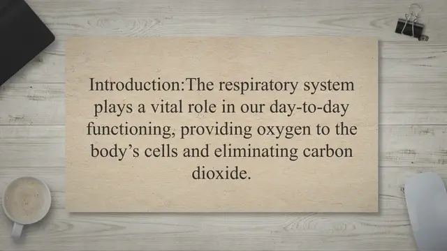 Video thumbnail for Human respiratory system and its functions
