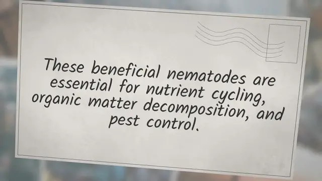 Video thumbnail for The role of nematodes in soil health