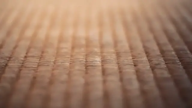 Video thumbnail for Bamboo Flooring Maintenance Tips